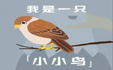 小鸟的窝教案5篇