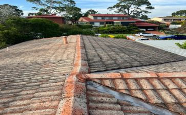 握住你的手作文800字作文6篇