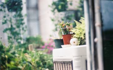 关于午后的作文5篇