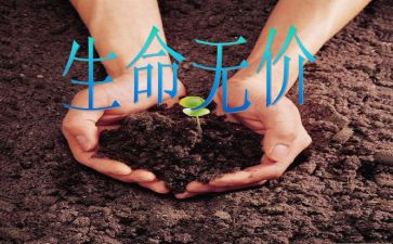 无价的友谊作文6篇