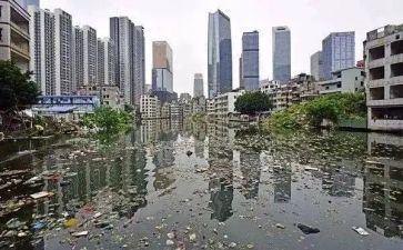 碳污染心得体会6篇