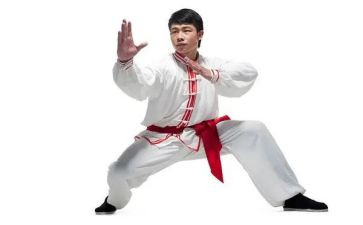 工作计划武术工作计划5篇