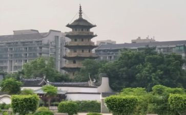 乌塔读后感300字7篇