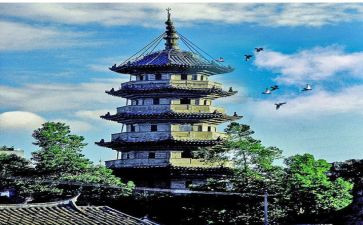 乌塔读后感作文优质5篇