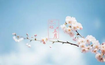 感恩五月演讲稿6篇