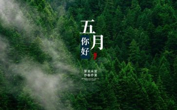 五月工作计划参考8篇