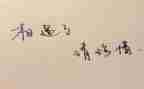 惜转正个人工作总结模板6篇