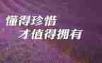 知感恩懂珍惜的演讲稿7篇