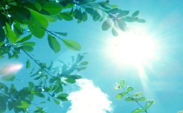 森林报·夏读后感5篇
