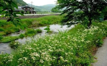 森林报·夏读后感最新6篇