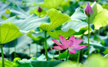 夏季防溺水活动策划6篇