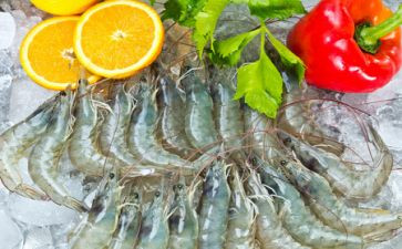 和虾有关的教案参考7篇