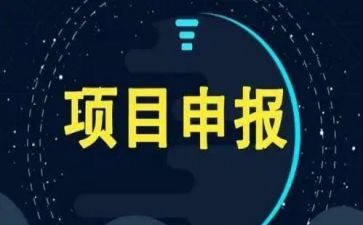 项目办年终工作总结模板5篇