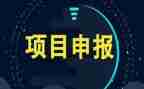项目办年终工作总结模板5篇