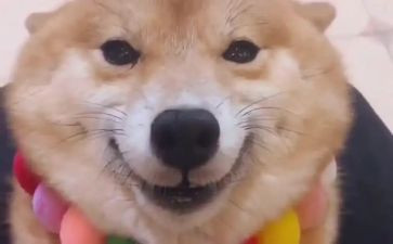 以笑为作文素材600字8篇