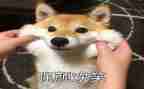 我的笑我的校园作文优质7篇