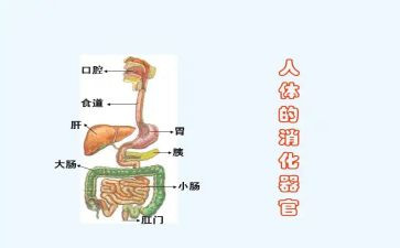 在消化科的自我鉴定范文6篇