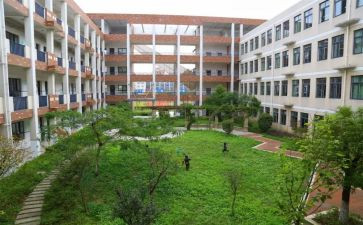 大学校内奖学金申请书6篇