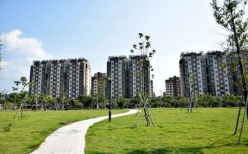 2024小区工作个人总结范文5篇
