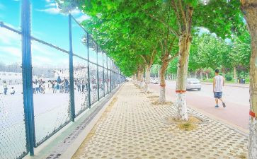 校务公开工作报告8篇