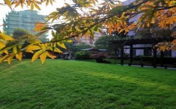 区领导校园安全讲话稿7篇