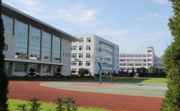 校园心得体会精选8篇