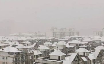 下雪的作文通用5篇