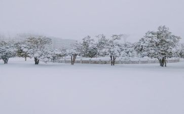 二年级写下雪的作文最新6篇