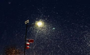 下雪的作文参考5篇