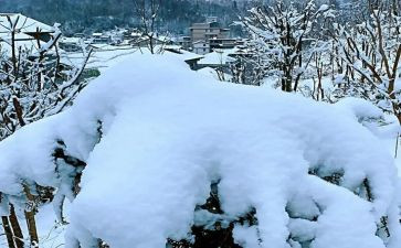 下雪的作文最新6篇