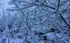 下雪了教案精选8篇