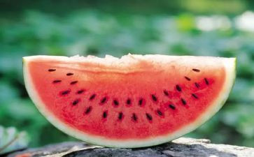 家乡西瓜的作文8篇