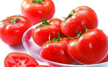 小西红柿的作文8篇