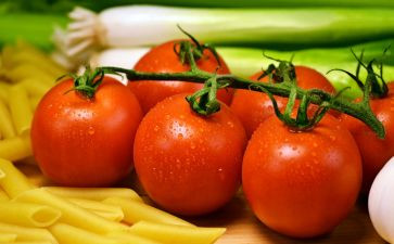 西红柿作文600字精选8篇