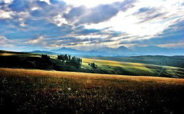 对新疆的心得体会最新7篇