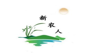新农村调研报告6篇