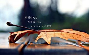 描写坏心情的作文推荐5篇