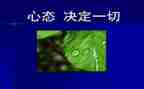 赢在心态心得体会通用5篇