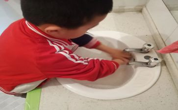 小班洗手健康教案6篇