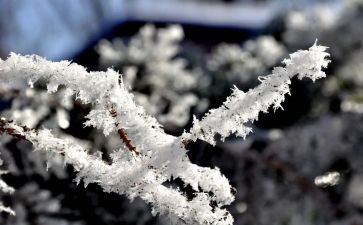 长城的雪作文推荐5篇