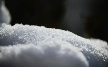 鲁迅的《雪》读后感8篇