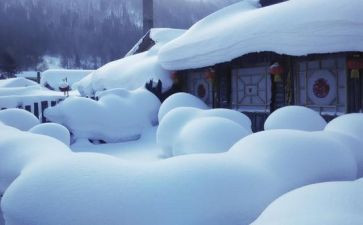 描写滑雪的作文6篇