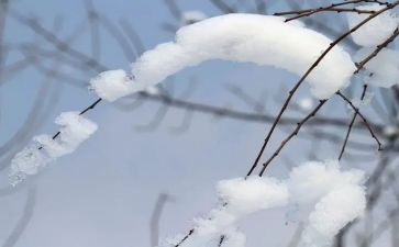 社区除雪工作报告推荐5篇