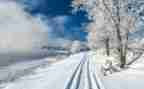 道路除雪工作总结6篇