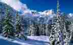 长城的雪作文7篇