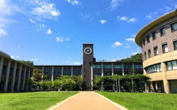 学部门工作总结优质8篇