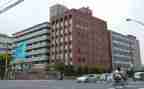 学部门工作总结模板7篇