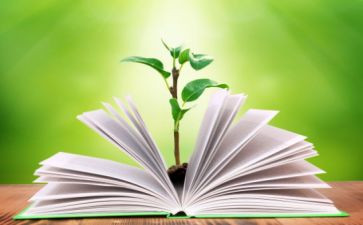 学校教学工作总结2024年学校工作总结优质8篇