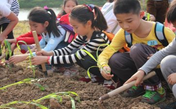 小学农村教导主任工作计划8篇