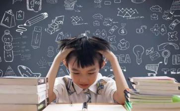 学生调查报告模板优秀7篇